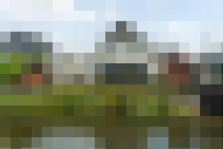 de Hammeren 17 Kollum foto 2