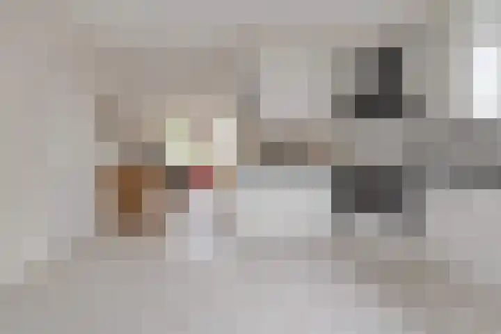 de Hammeren 17 Kollum thumbnail 20