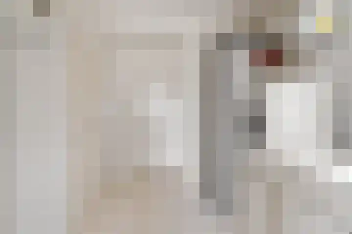 de Hammeren 17 Kollum thumbnail 22
