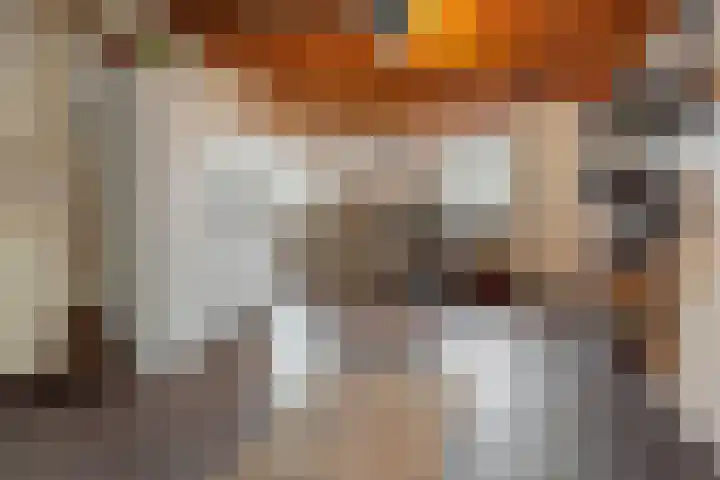 de Hammeren 17 Kollum thumbnail 23