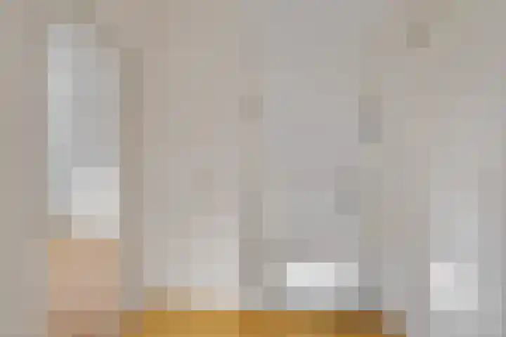 de Hammeren 17 Kollum thumbnail 25
