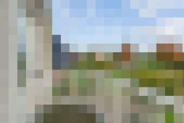 de Hammeren 17 Kollum thumbnail 29