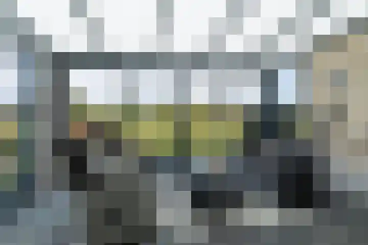 de Hammeren 17 Kollum foto 3