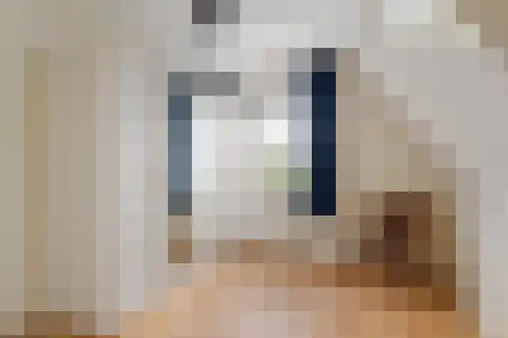 de Hammeren 17 Kollum thumbnail 30