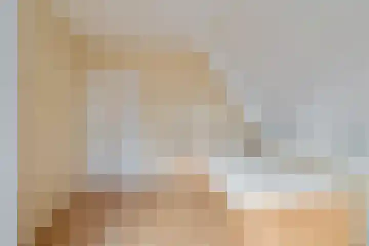 de Hammeren 17 Kollum thumbnail 31