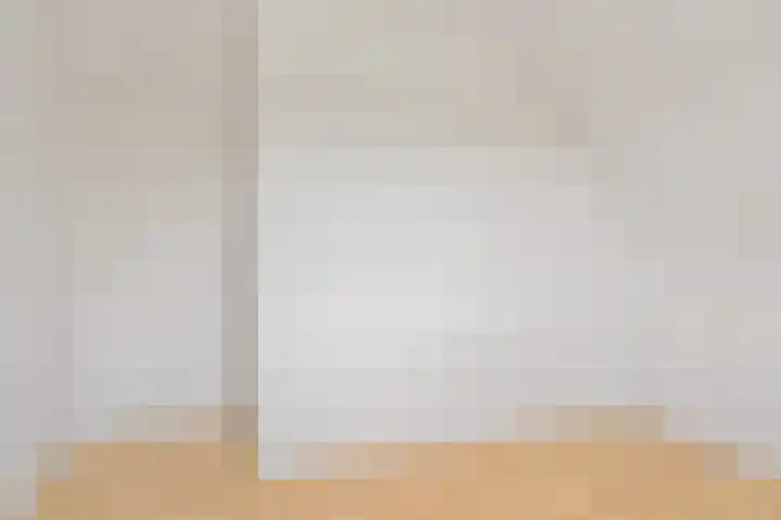 de Hammeren 17 Kollum thumbnail 34