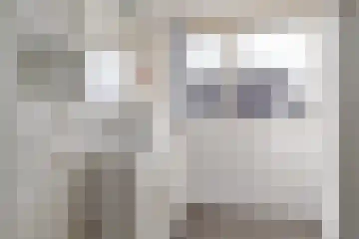 de Hammeren 17 Kollum thumbnail 35