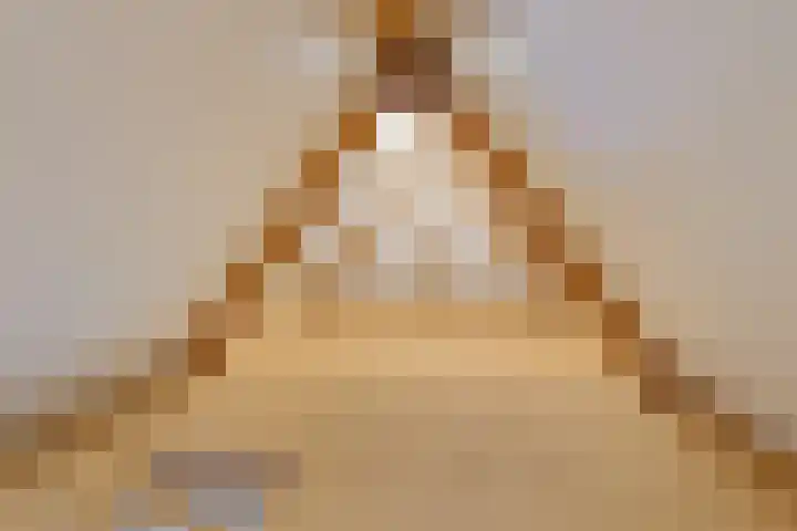 de Hammeren 17 Kollum thumbnail 37
