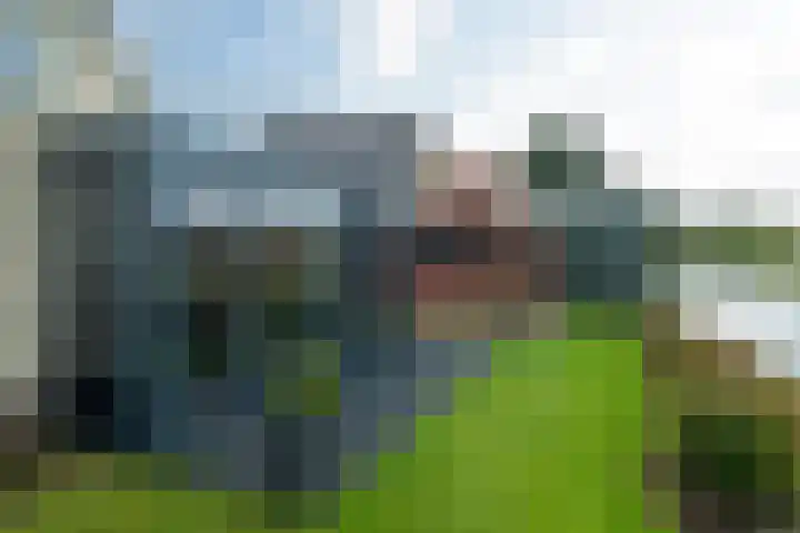 de Hammeren 17 Kollum thumbnail 38