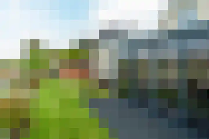 de Hammeren 17 Kollum thumbnail 40