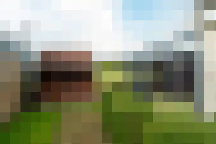 de Hammeren 17 Kollum thumbnail 41