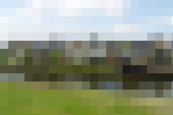de Hammeren 17 Kollum thumbnail 42