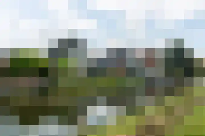 de Hammeren 17 Kollum thumbnail 43