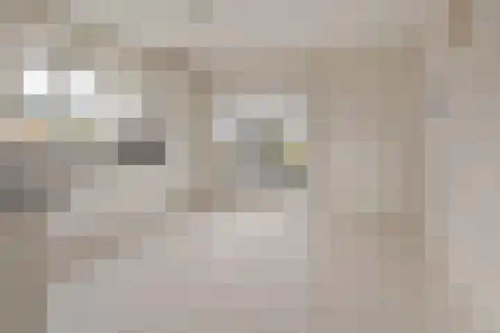 de Hammeren 17 Kollum thumbnail 5