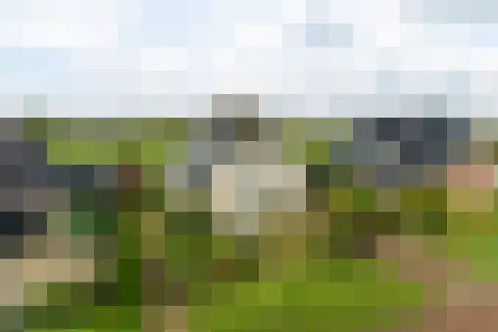 de Hammeren 17 Kollum thumbnail 6