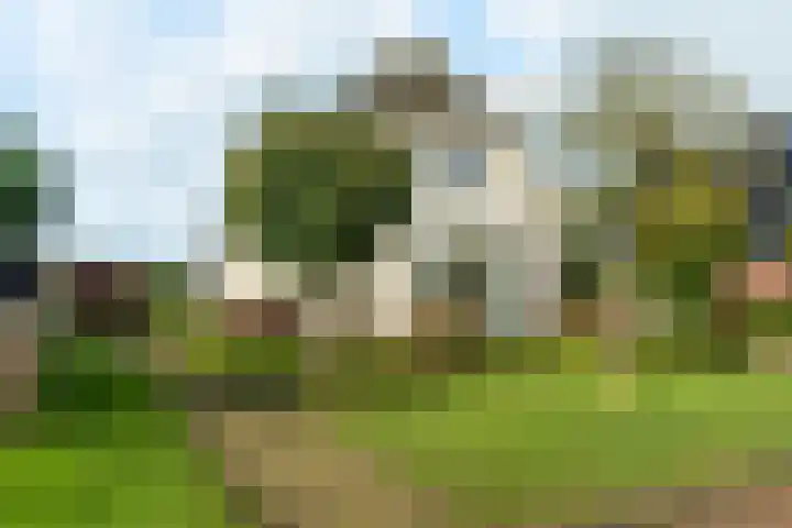 de Hammeren 17 Kollum thumbnail 9