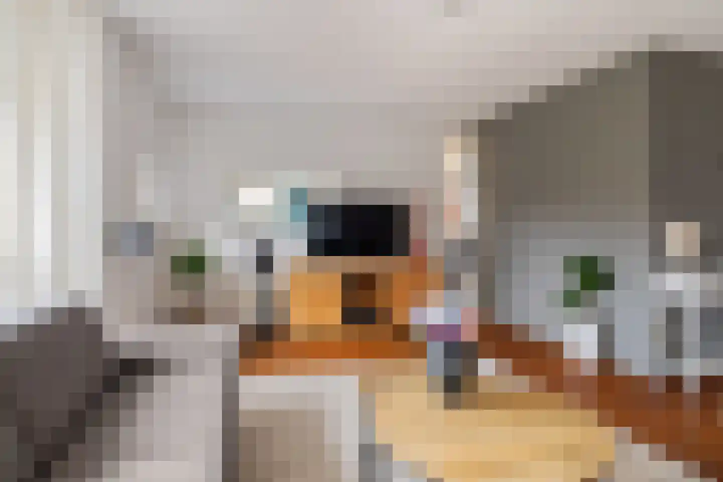 de Hammeren 22 Kollum thumbnail 11