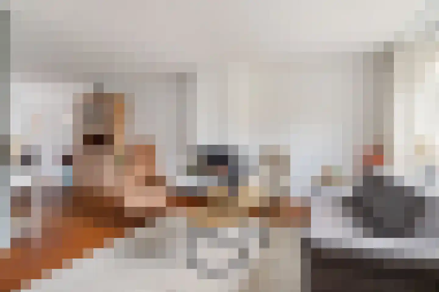 de Hammeren 22 Kollum thumbnail 13