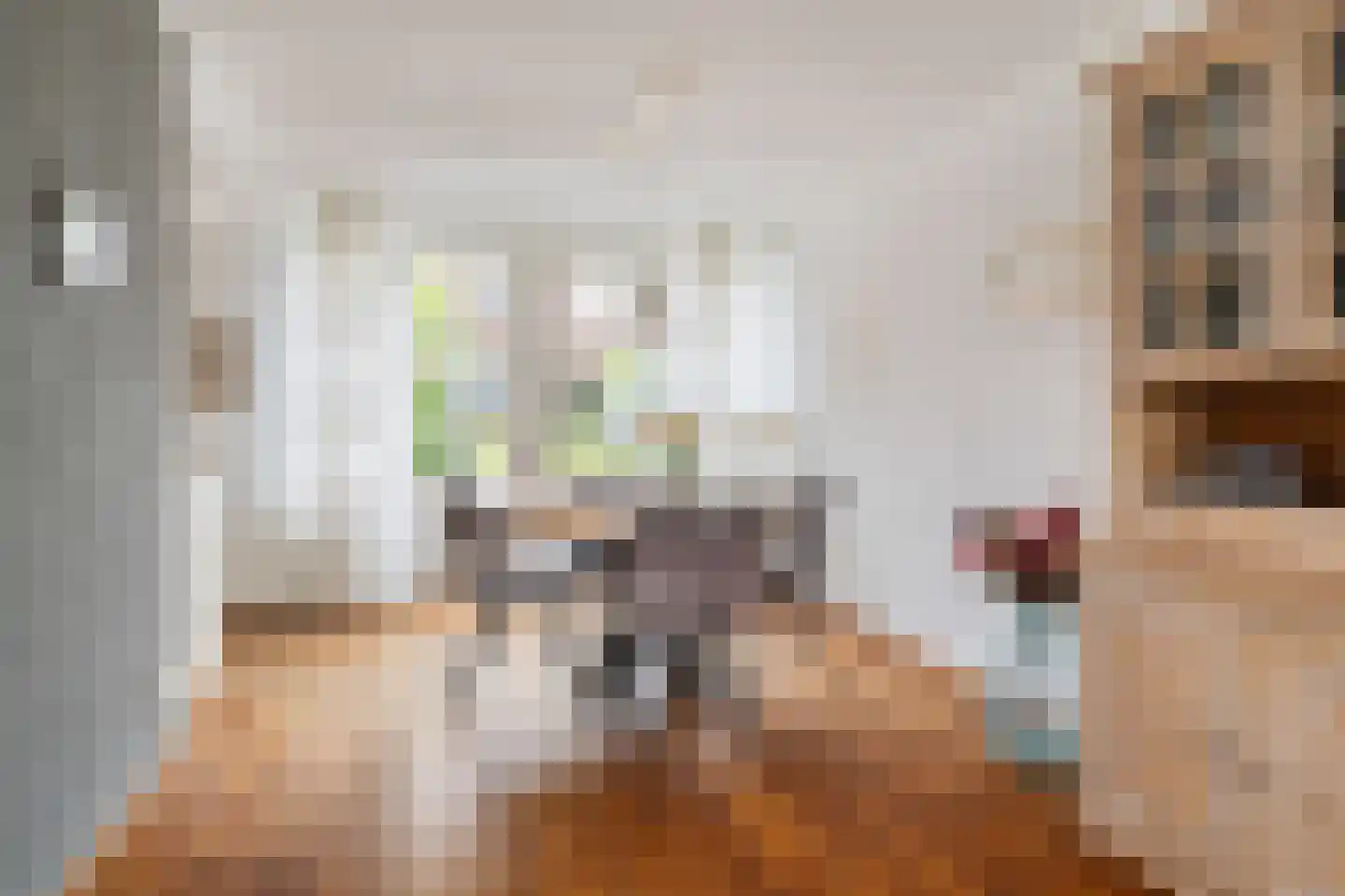 de Hammeren 22 Kollum thumbnail 15