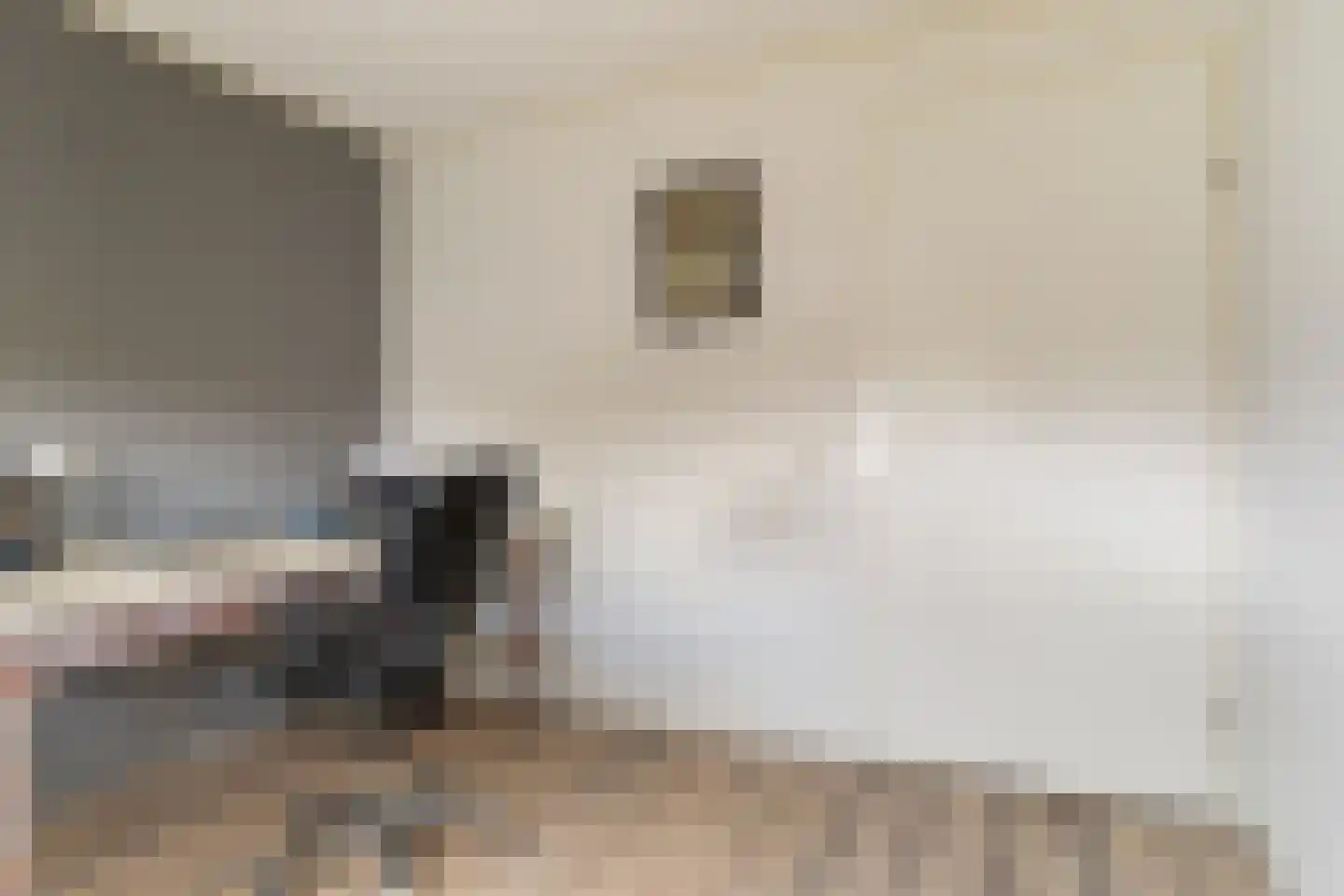 de Hammeren 22 Kollum thumbnail 32