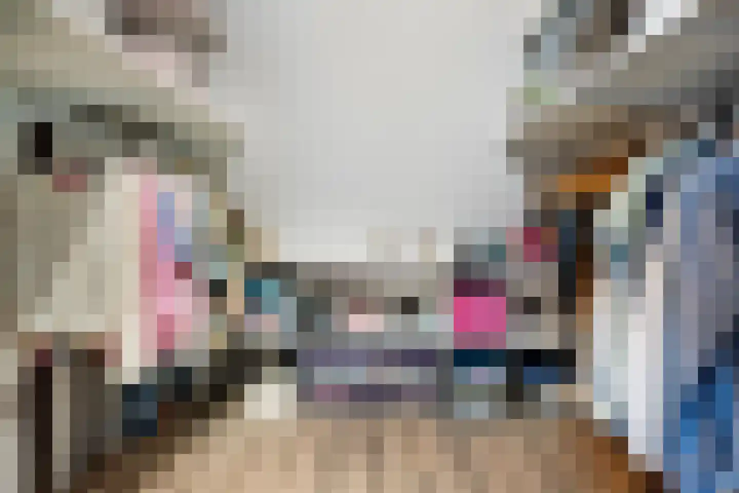 de Hammeren 22 Kollum thumbnail 36