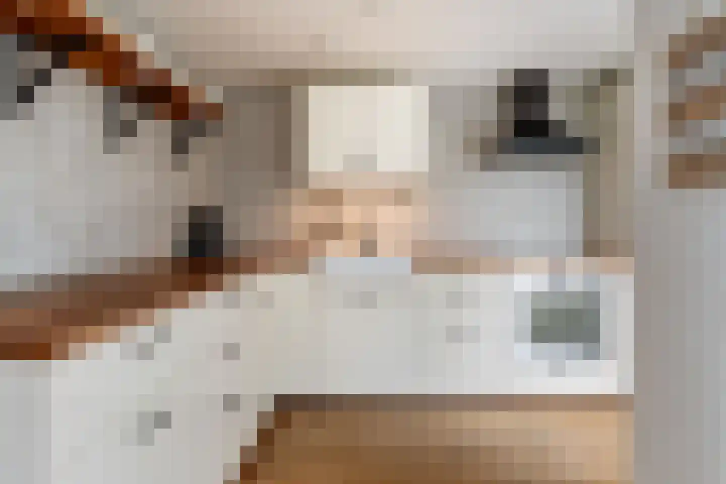 de Hammeren 22 Kollum thumbnail 4