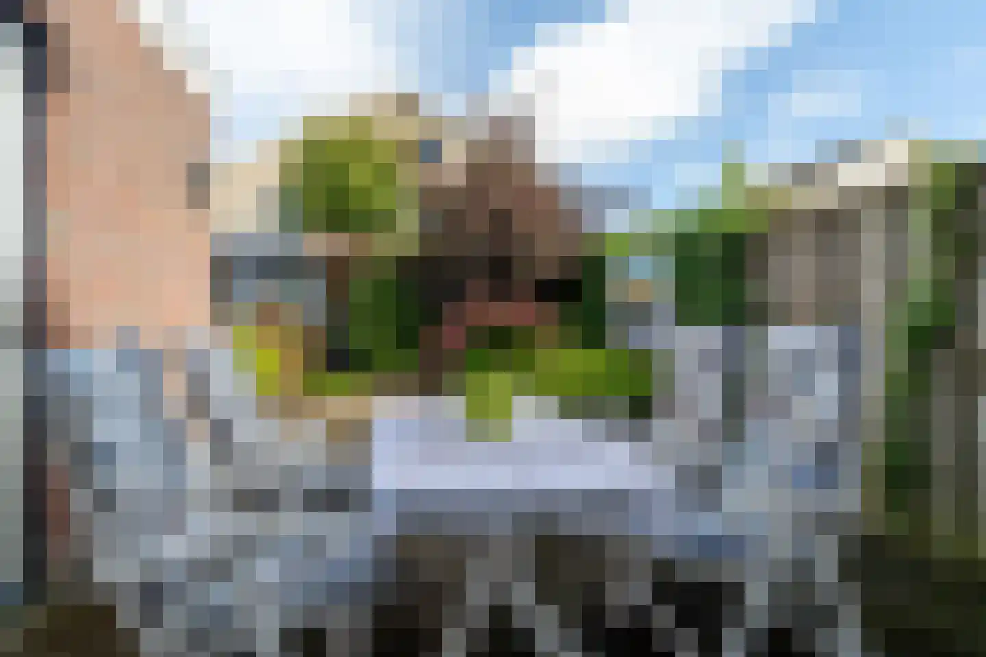 de Hammeren 22 Kollum thumbnail 41