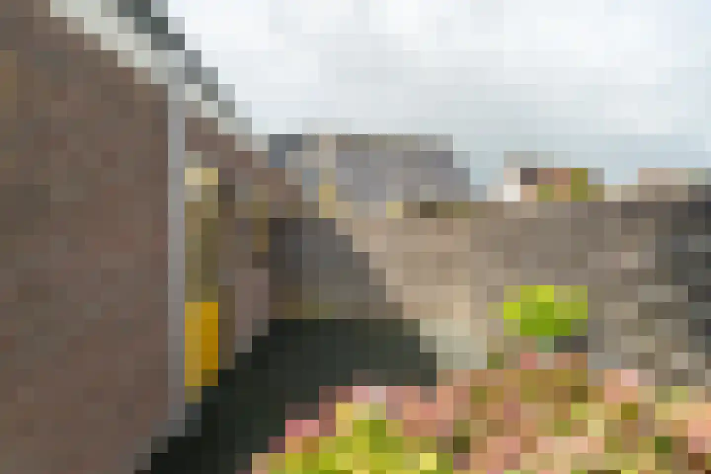 de Hammeren 22 Kollum thumbnail 44