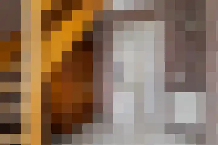 de Hammeren 27 Kollum thumbnail 12