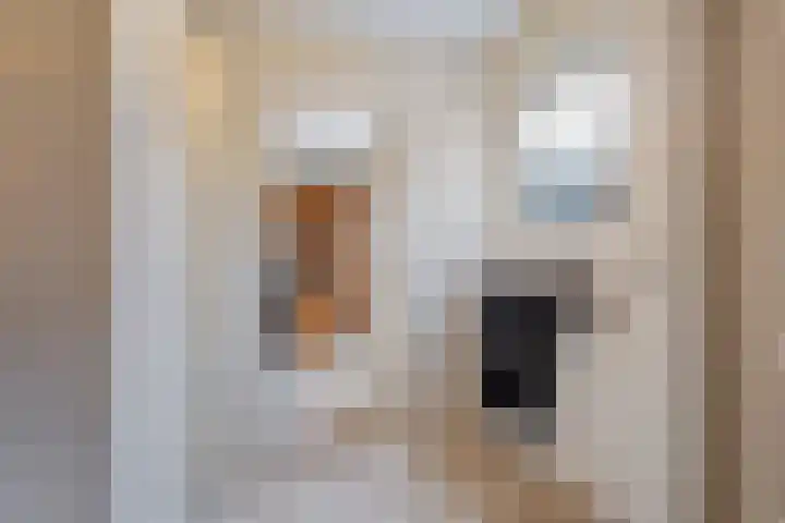 de Hammeren 27 Kollum thumbnail 19
