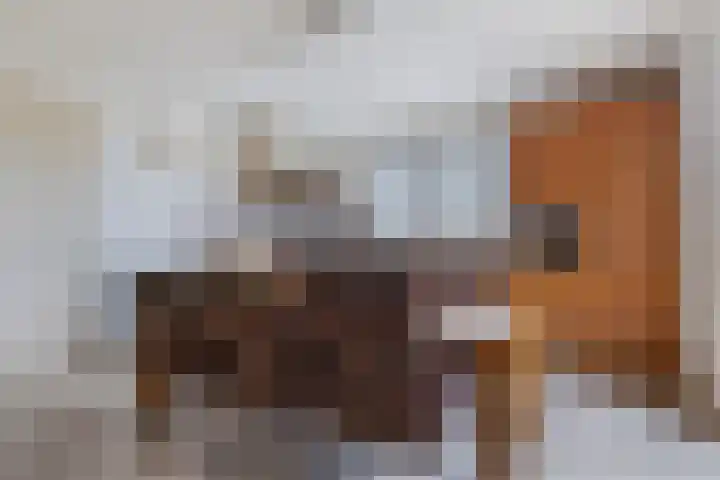 de Hammeren 27 Kollum thumbnail 20