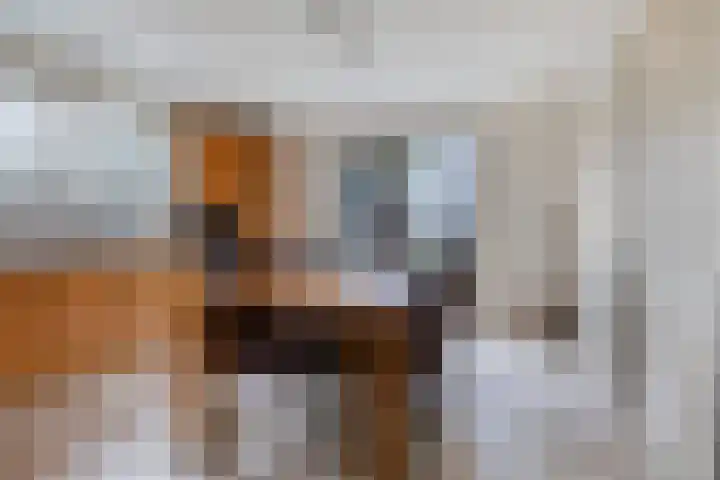 de Hammeren 27 Kollum thumbnail 21