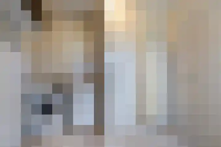 de Hammeren 27 Kollum thumbnail 23