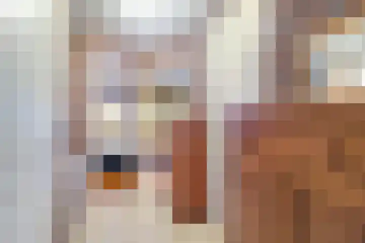 de Hammeren 27 Kollum thumbnail 24