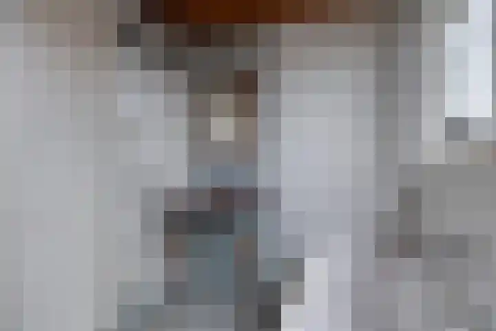 de Hammeren 27 Kollum thumbnail 33