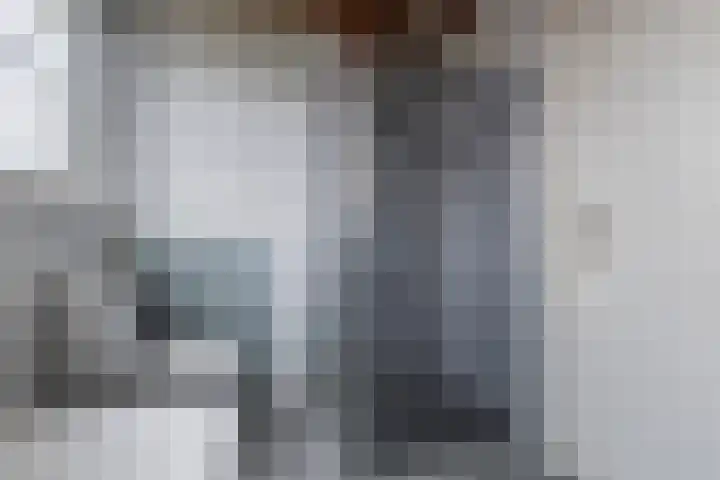 de Hammeren 27 Kollum thumbnail 34