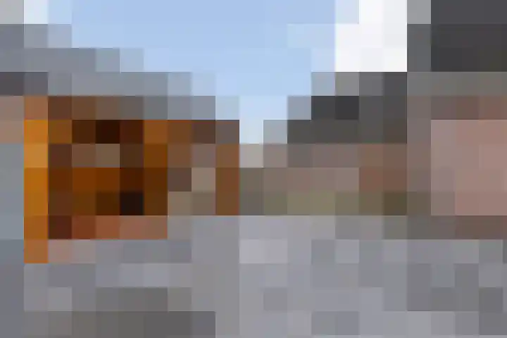 de Hammeren 27 Kollum thumbnail 36