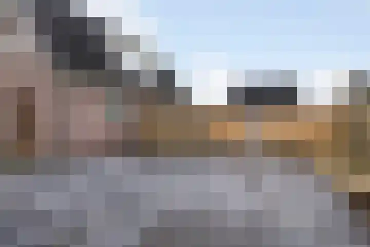 de Hammeren 27 Kollum thumbnail 37