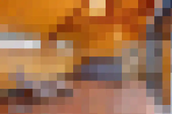de Hammeren 27 Kollum thumbnail 38