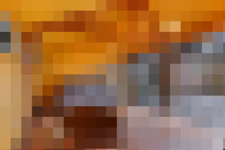de Hammeren 27 Kollum thumbnail 39