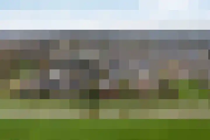 de Hammeren 27 Kollum thumbnail 4