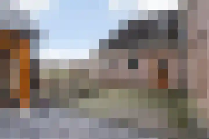 de Hammeren 27 Kollum thumbnail 40