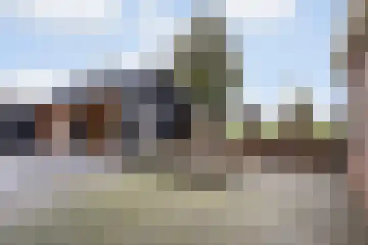 de Hammeren 27 Kollum thumbnail 41