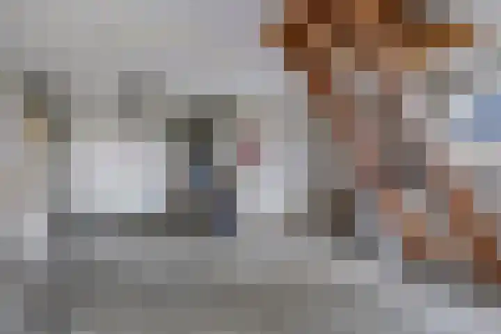 de Hammeren 27 Kollum thumbnail 43