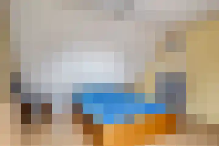 de Hammeren 27 Kollum thumbnail 44