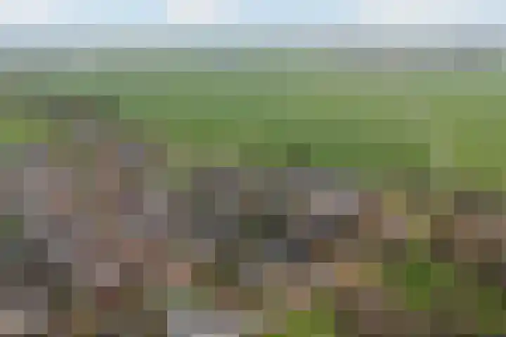 de Hammeren 27 Kollum thumbnail 6