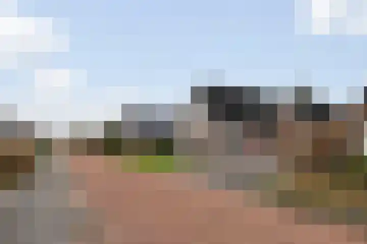 de Hammeren 27 Kollum thumbnail 8