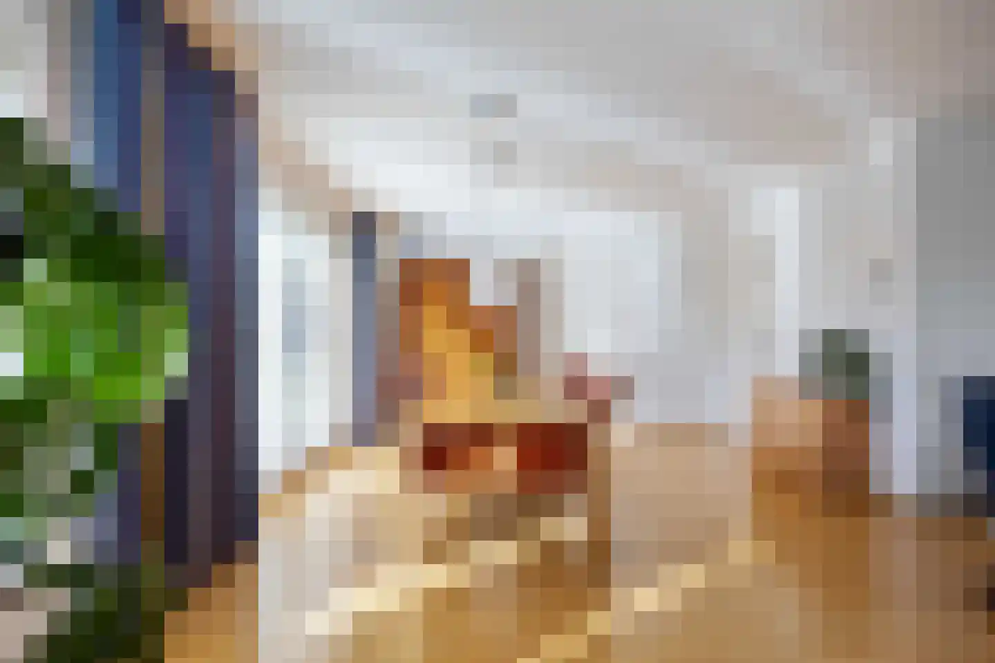 de Hammeren 42 Kollum thumbnail 15