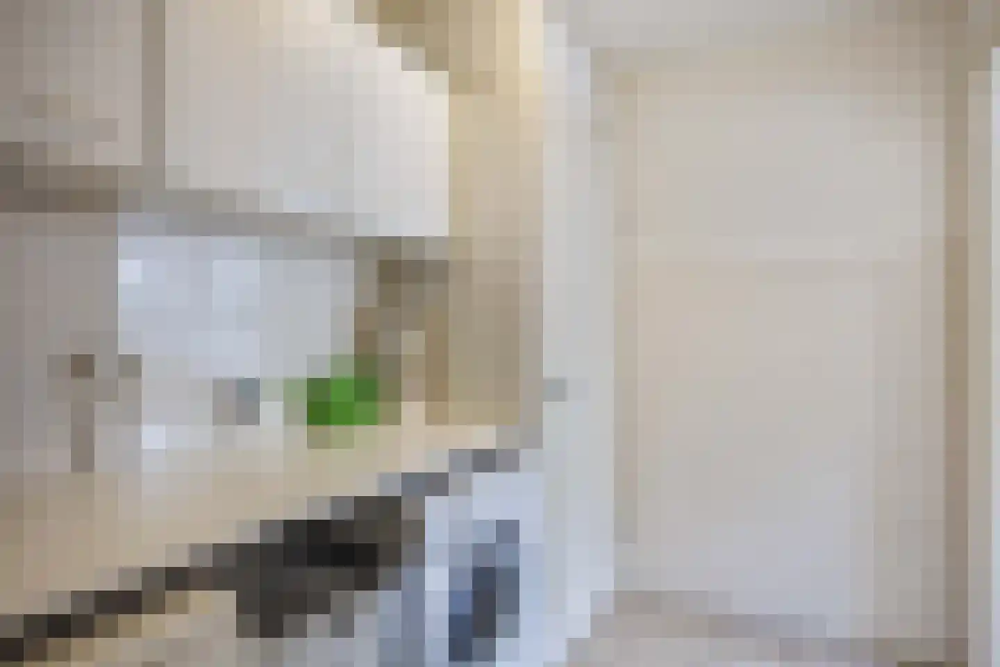 de Hammeren 42 Kollum thumbnail 19