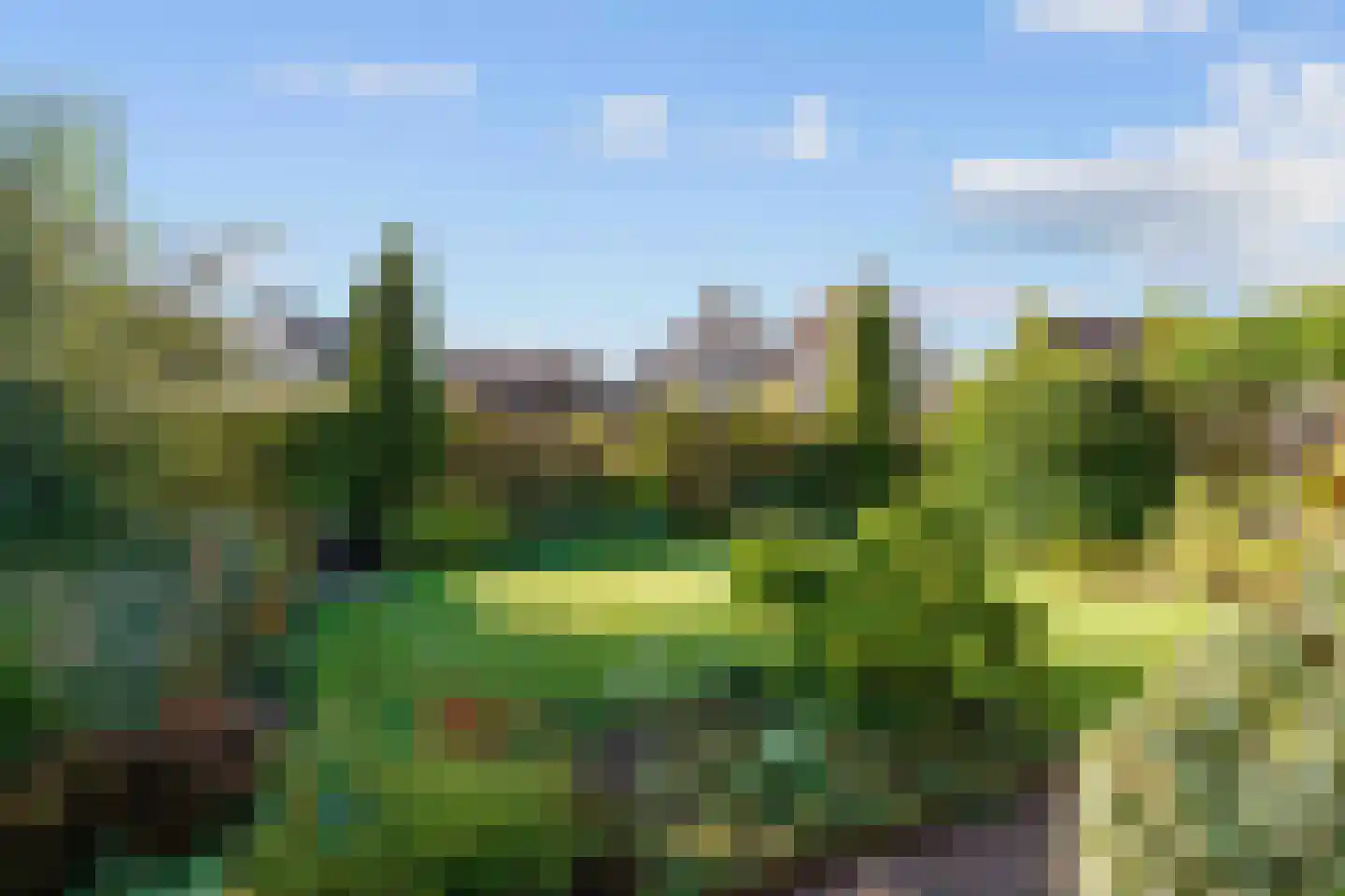 de Hammeren 42 Kollum thumbnail 33